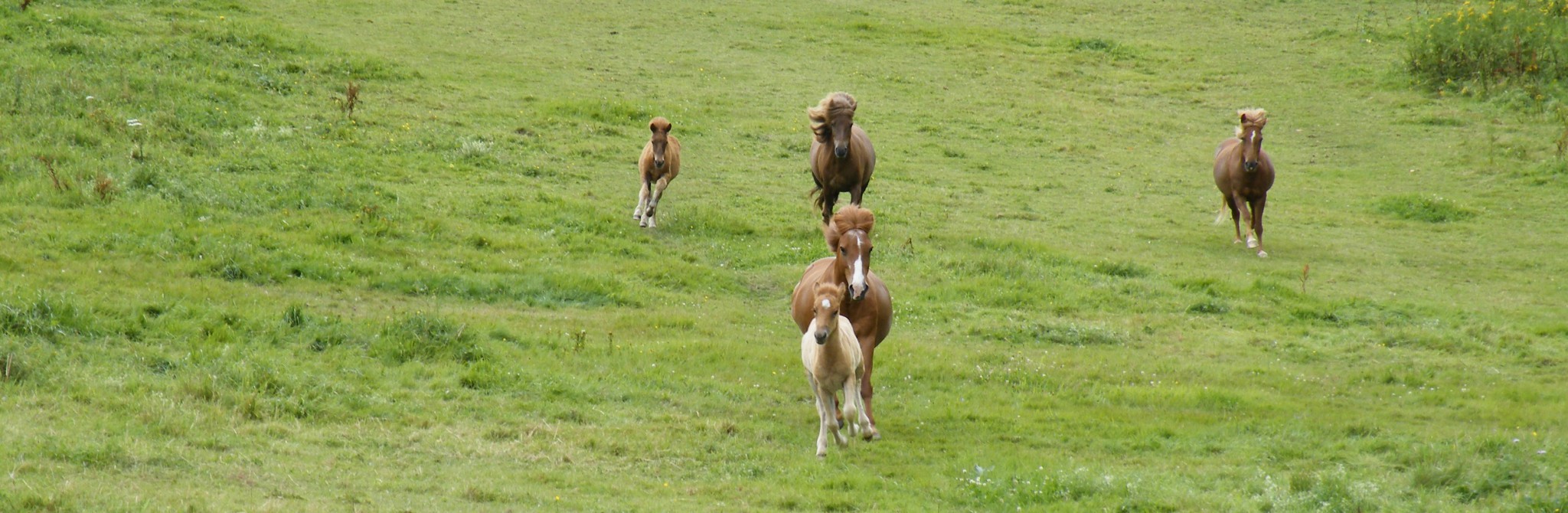 2009_0802Elja20090010